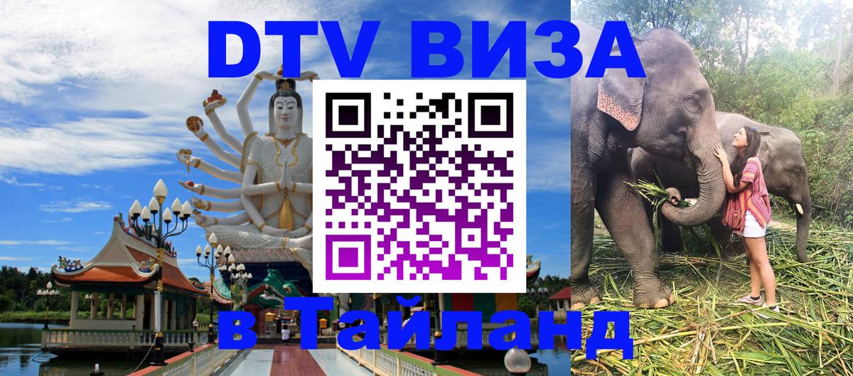 Оформление DTV визы под ключ: стоимость и тарифы, только загранпаспорт - Ашхабад  18.11.2025 